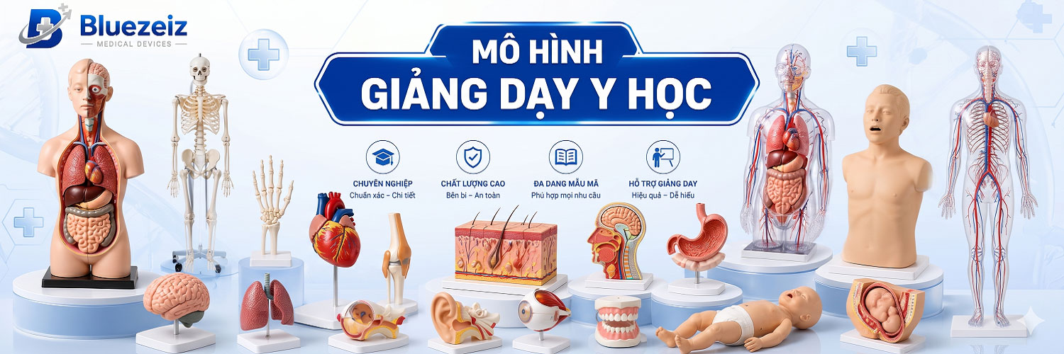 Banner mô hình giảng dạy y học